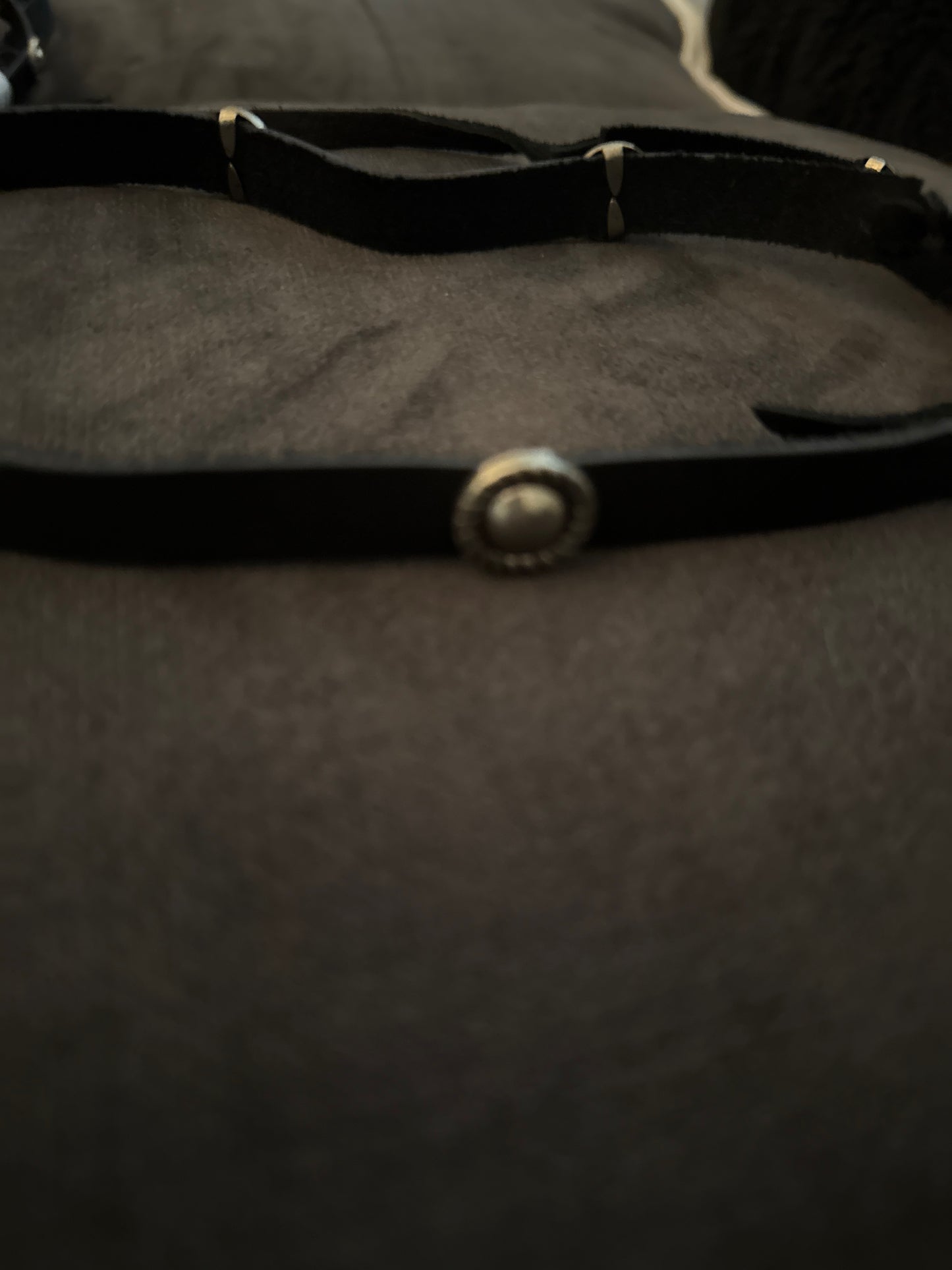 Leather Studded Bands