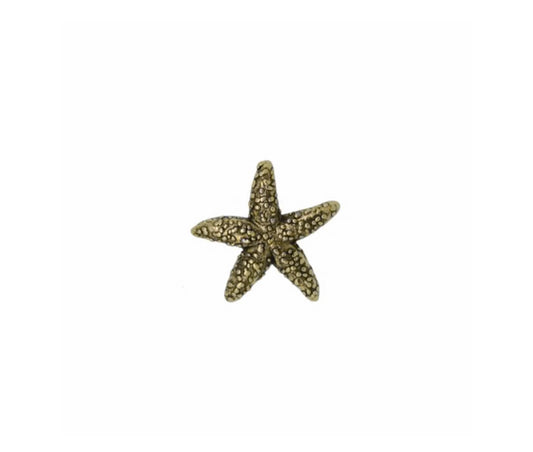Starfish Pin