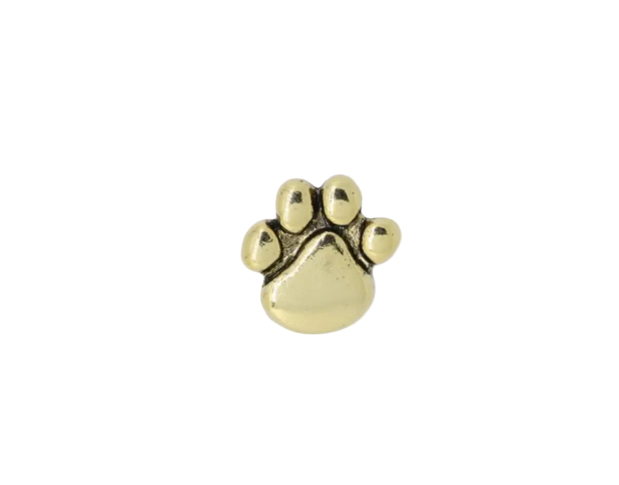 Paw Print Pin