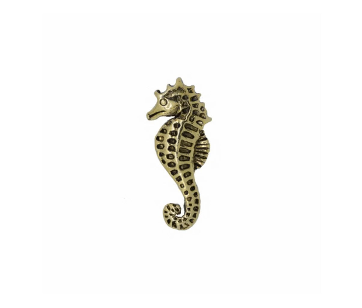 Seahorse Pin